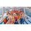 Tour lặn ngắm san hô Vĩnh Hy và tham quan Bãi Kinh – Hang Tàu (RESORT VĨNH HY)