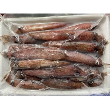 MỰC ỐNG GHIM TRỨNG 9-12CM CANAFISH 300GR