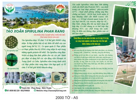 Tảo spirulina sấy thăng hoa