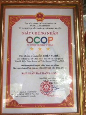 Dừa xiêm Thiện Nghiệp quả 1000g