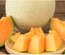 DƯA LƯỚI BẢO LIÊN 2,5KG (HKD NGÔ VĂN BẢO)
