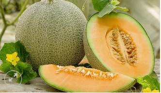 DƯA LƯỚI BẢO LIÊN 2,5KG (HKD NGÔ VĂN BẢO)