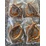 Dông cát sạch loại 1 (3-5 con⁄kg)