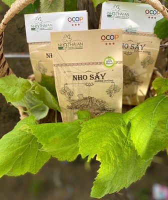 NHO SẤY KHÔNG ĐƯỜNG 200 g (HTX Thái An)