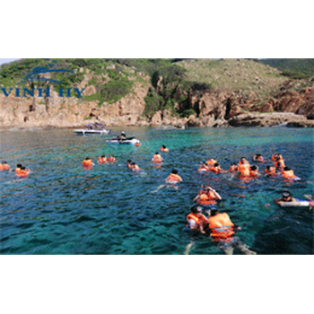 TOUR TẮM LẶN BIỂN XEM SAN HÔ (SNORKELING) - VINH HY DISCOVERY