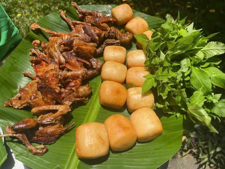 Bồ câu thảo mộc dạng nướng (270g-300g)