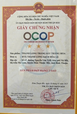 Thanh long trắng sấy thăng hoa 50g