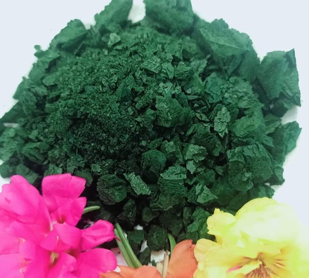 Tảo spirulina sấy thăng hoa