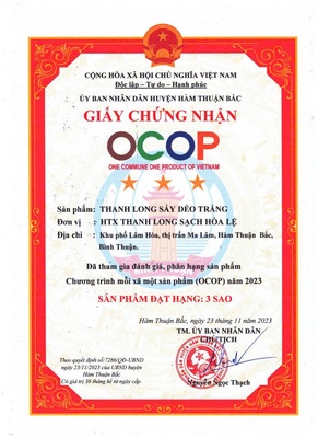 Thanh long trắng sấy dẻo 65g