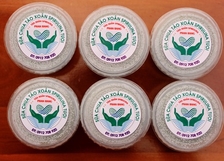 SỮA CHUA TẢO XOẮN SPIRULINA TƯƠI (TẢO XOẴN PHAN RANG – CHI ANH)