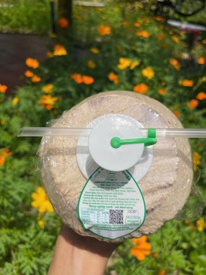 Dừa xiêm Thiện Nghiệp quả 1000g