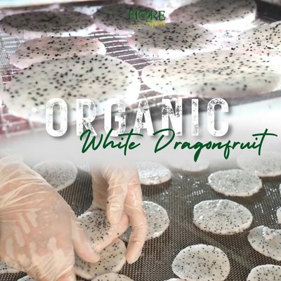 Thanh long trắng sấy dẻo 65g
