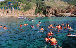 TOUR TẮM LẶN BIỂN XEM SAN HÔ (SNORKELING) - VINH HY DISCOVERY