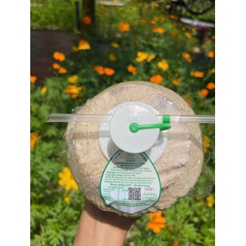 Dừa xiêm Thiện Nghiệp quả 1000g