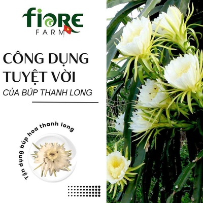 Trà hoa thanh long 160g