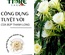Trà hoa thanh long hộp tròn 160g