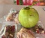 Bồ câu thịt sạch (270g-350g)