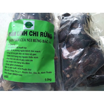 NẤM LINH CHI RỪNG 0,5KG (HTX PHƯỚC ĐẠI)