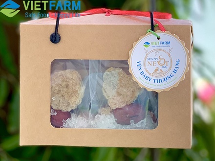 Set Yến baby SALA NEST - VIETFARM