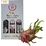 Rượu đế thanh long 500ml