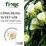 Trà hoa thanh long hộp tròn 160g