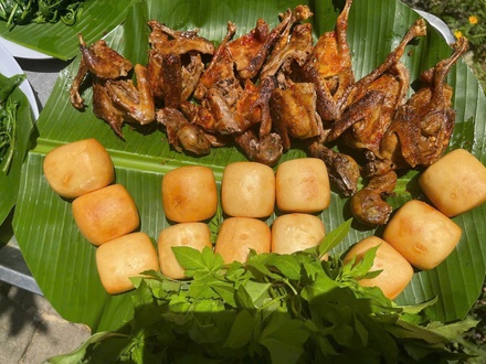 Bồ câu thảo mộc dạng nướng (270g-300g)