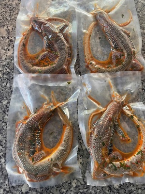 Dông cát sạch loại 1 (3-5 con⁄kg)